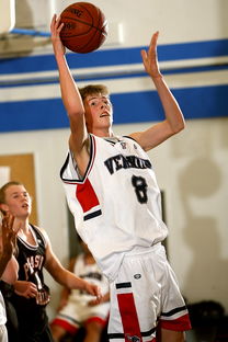 ac米兰足球队-中国青少年篮球发展区域差异及均衡发展策略研究，《中国青少年篮球训练教学大纲》